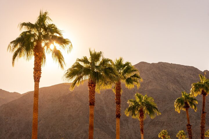 Palm Springs and Joshua Tree Self-Guided Driving Audio Tours - Photo 1 of 23